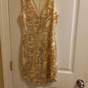Large Gold Dress